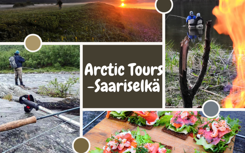 Arctic Tours