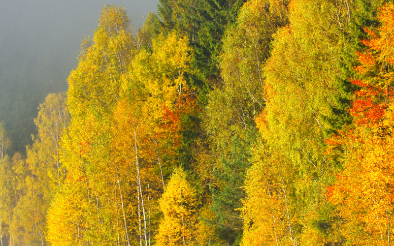 Hiking in Finland in autumn and winter