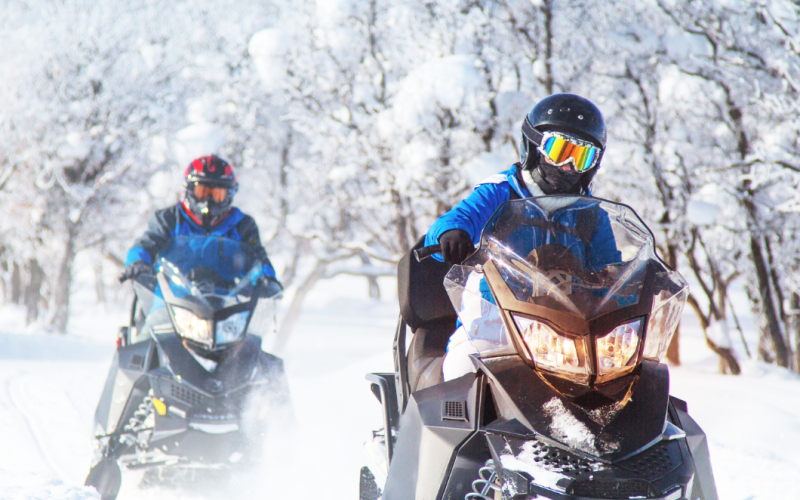 Snowmobile safaris