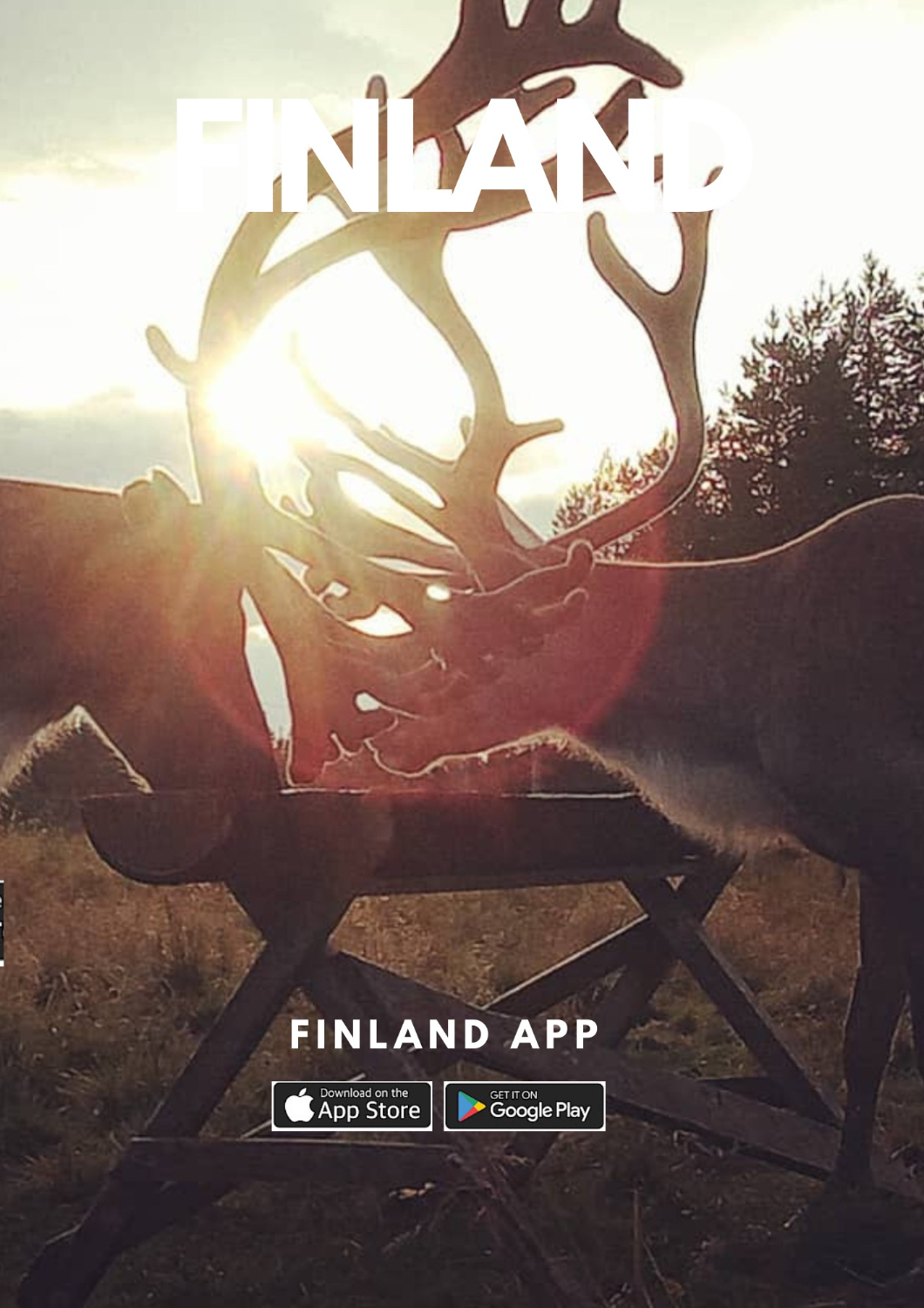 Reindeer Farm summer mornings-Kuusamo