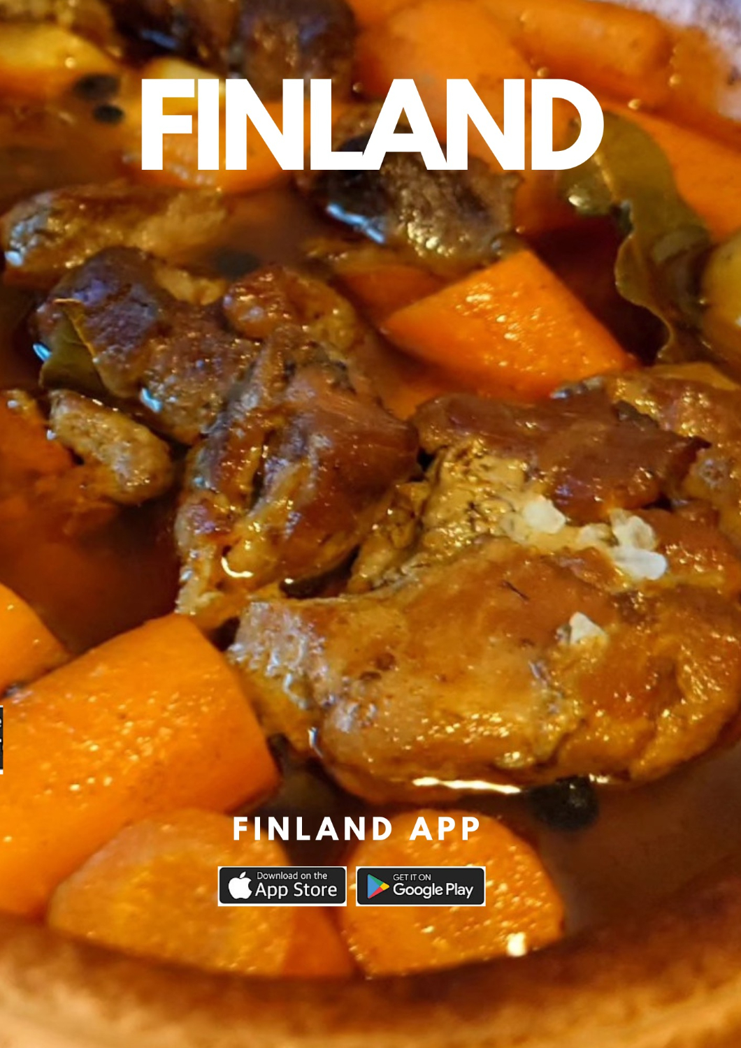 Finnish food and Wild food