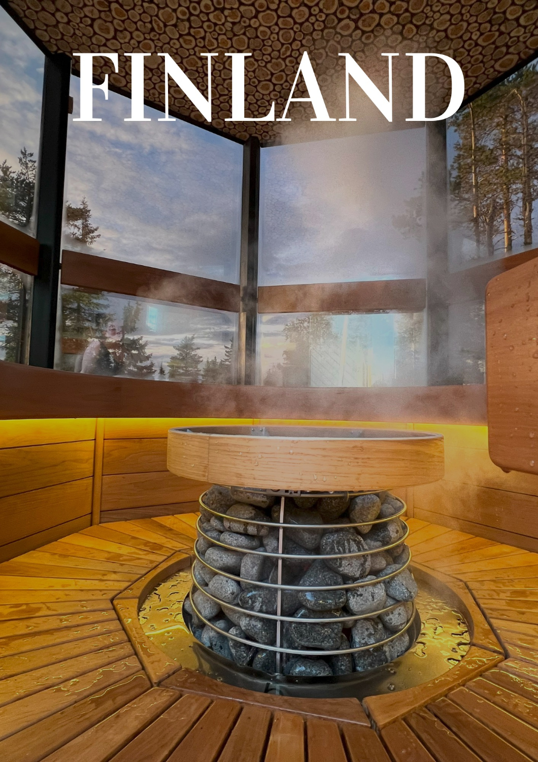 Arctic Giant Forest sauna & experience 2025
