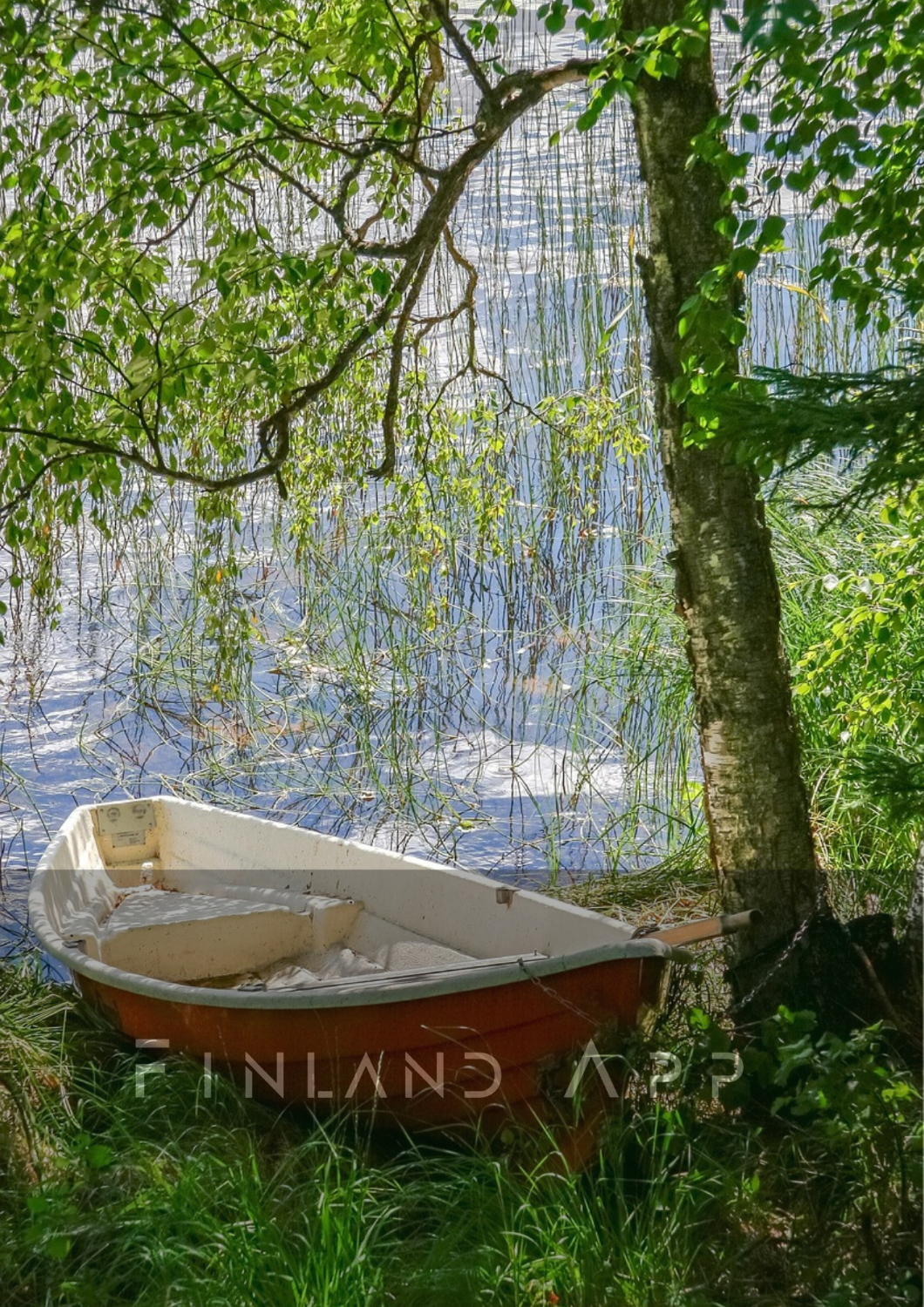 Morning on a Finnish Lake