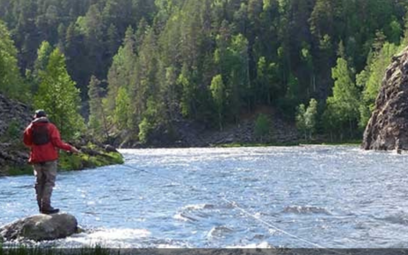 Adventure on the Kitka River