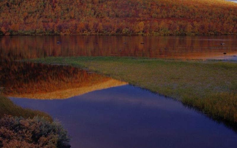 Autumn in Lapland 2025