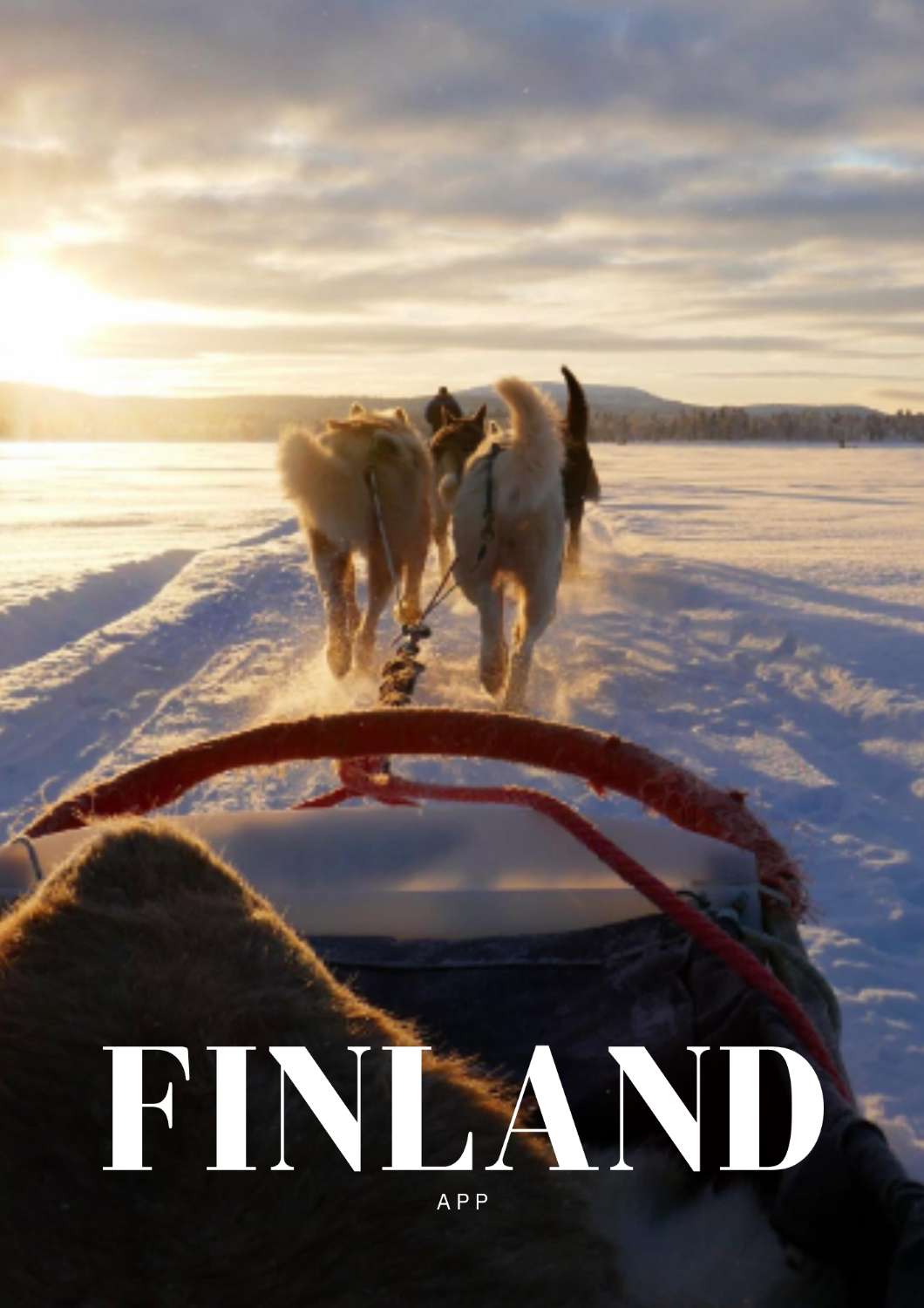 Snowmobile trip, Husky Safari, Snowshoeing -Inari