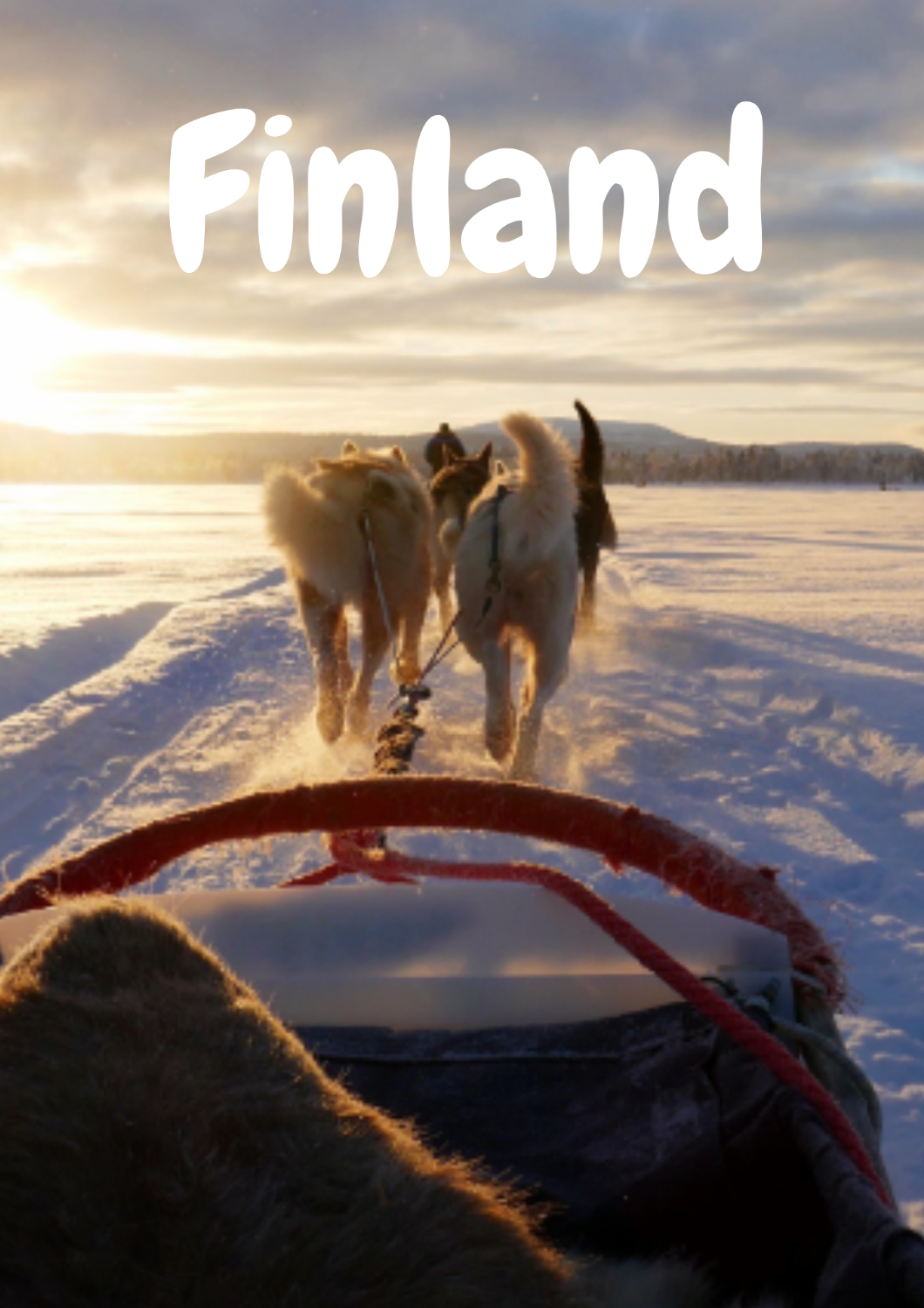 Snowmobile trip, Husky Safari, Snowshoeing -Inari