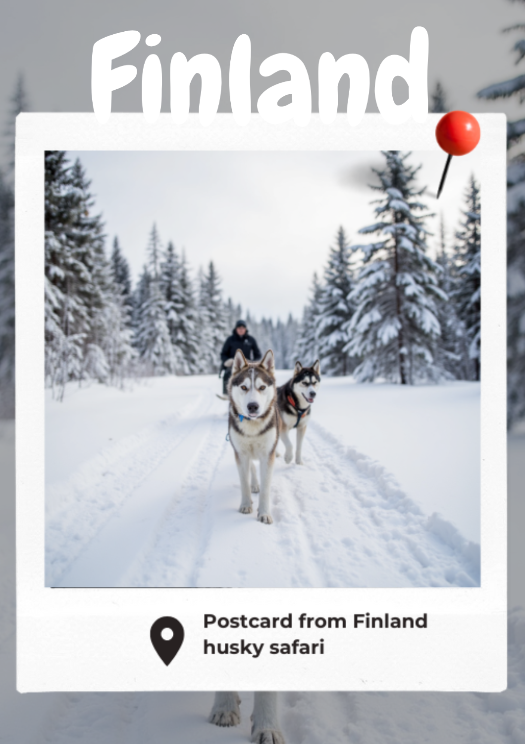 Finnish Winter with a Husky Safari