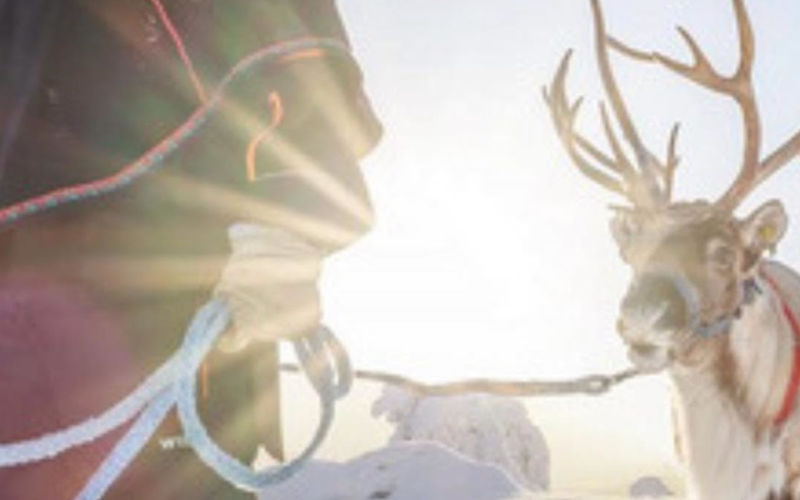 Kainuu-REINDEER SARARI