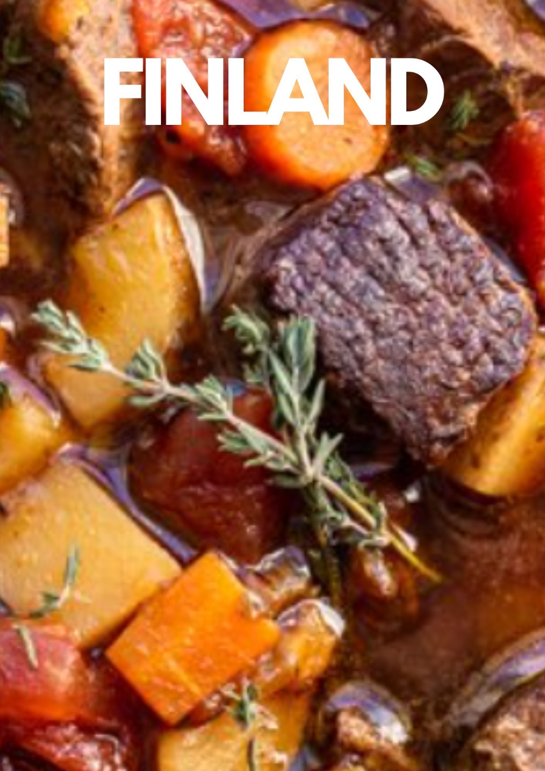 Venison Stew -An Arctic Culinary Gem Awaits