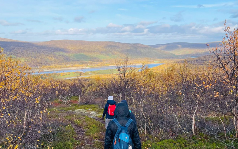 Arctic Flavors and Riverside Retreats